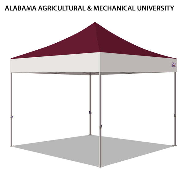 Alabama Agricultural and Mechanical University Colored 10x10