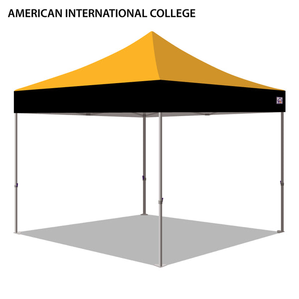 American International College Colored 10x10