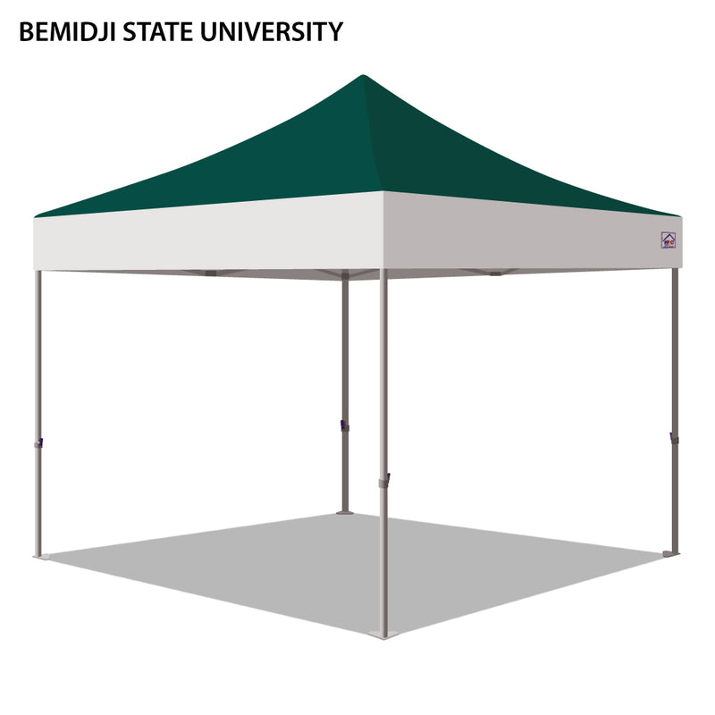 Bemidji State University Colored 10x10