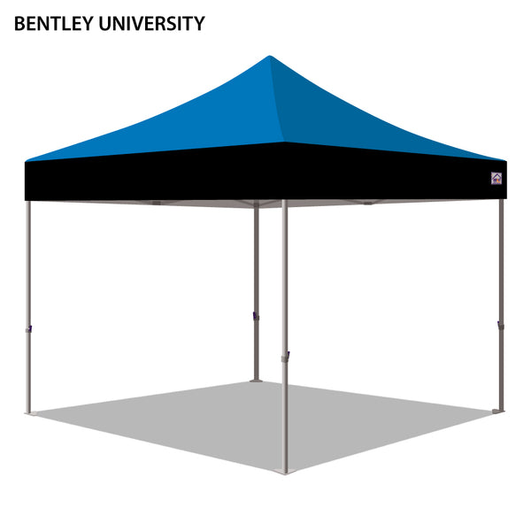 Bentley University Colored 10x10