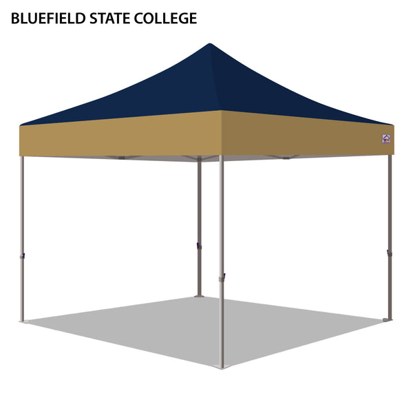 Bluefield State College Colored 10x10