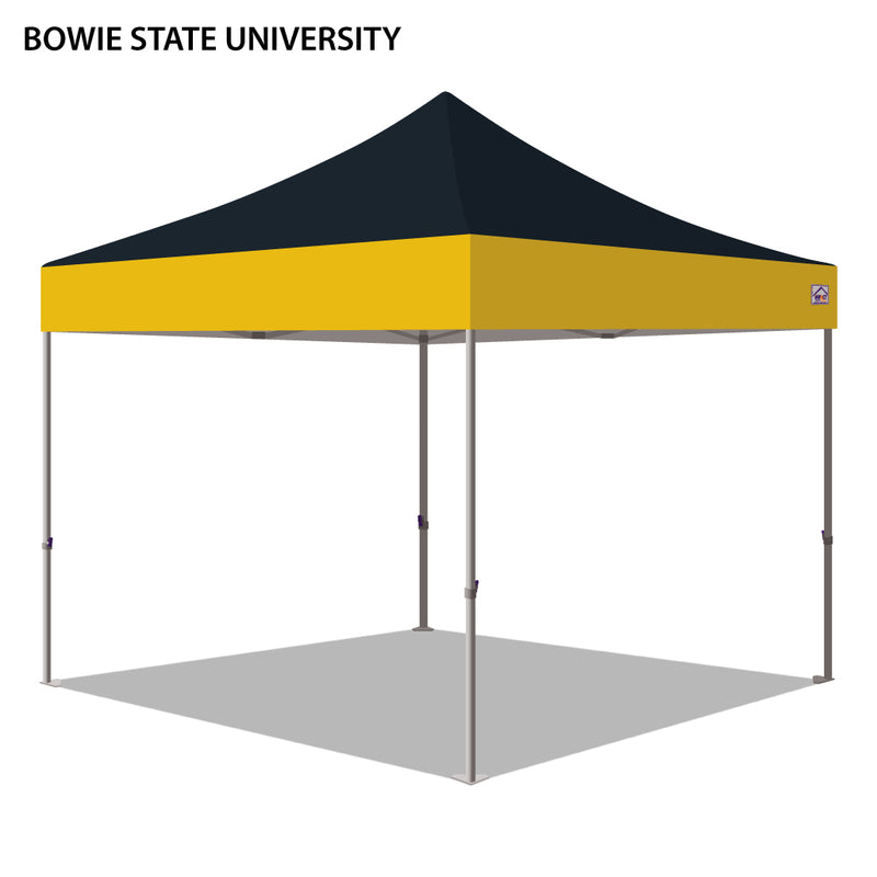 Bowie State University Colored 10x10