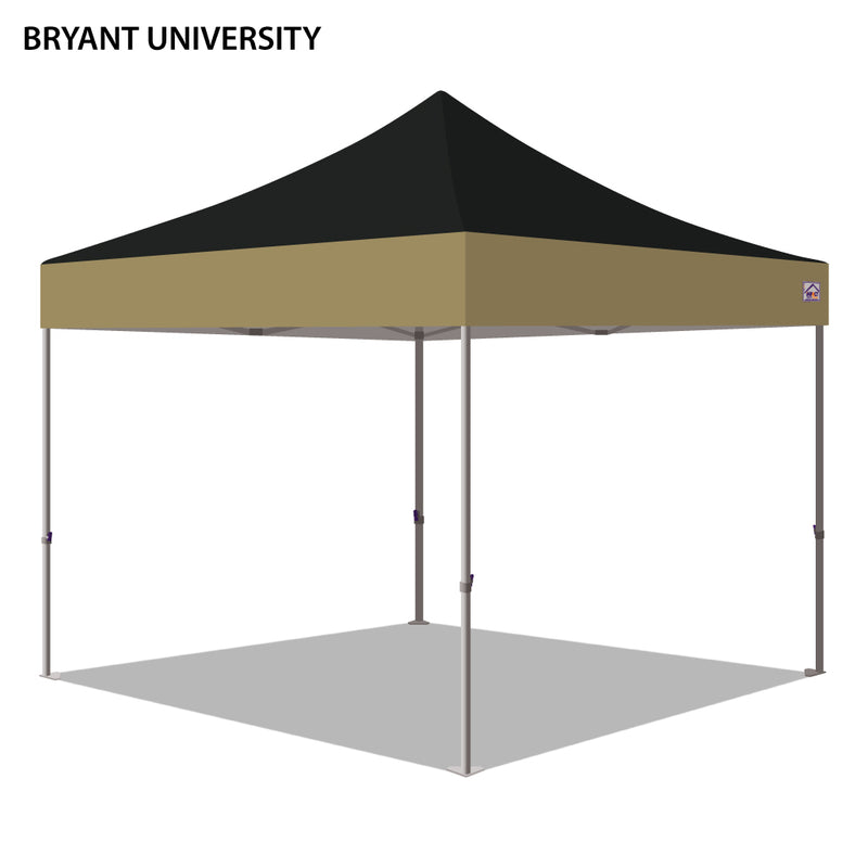 Bryant University Colored 10x10