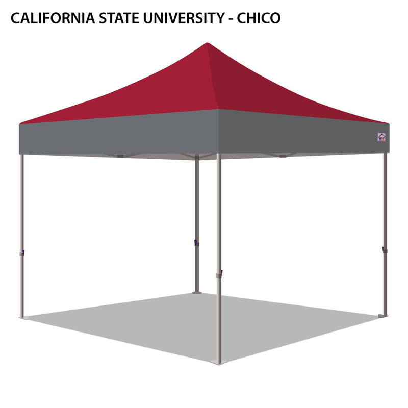 California State University, Chico Colored 10x10