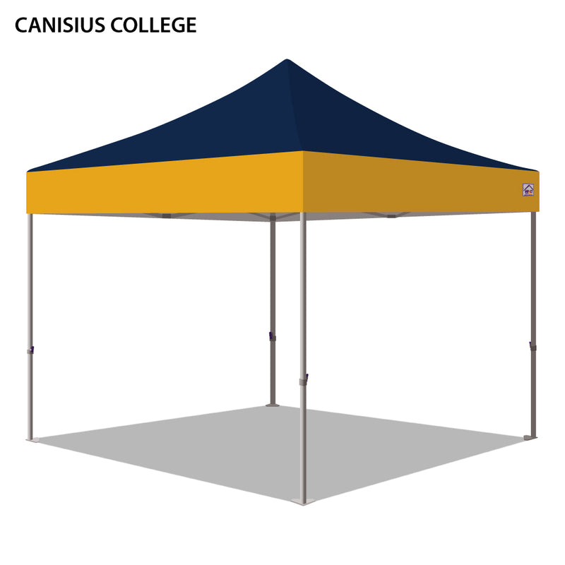 Canisius College Colored 10x10