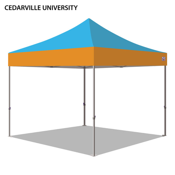 Cedarville University Colored 10x10