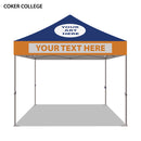 Coker College Colored 10x10