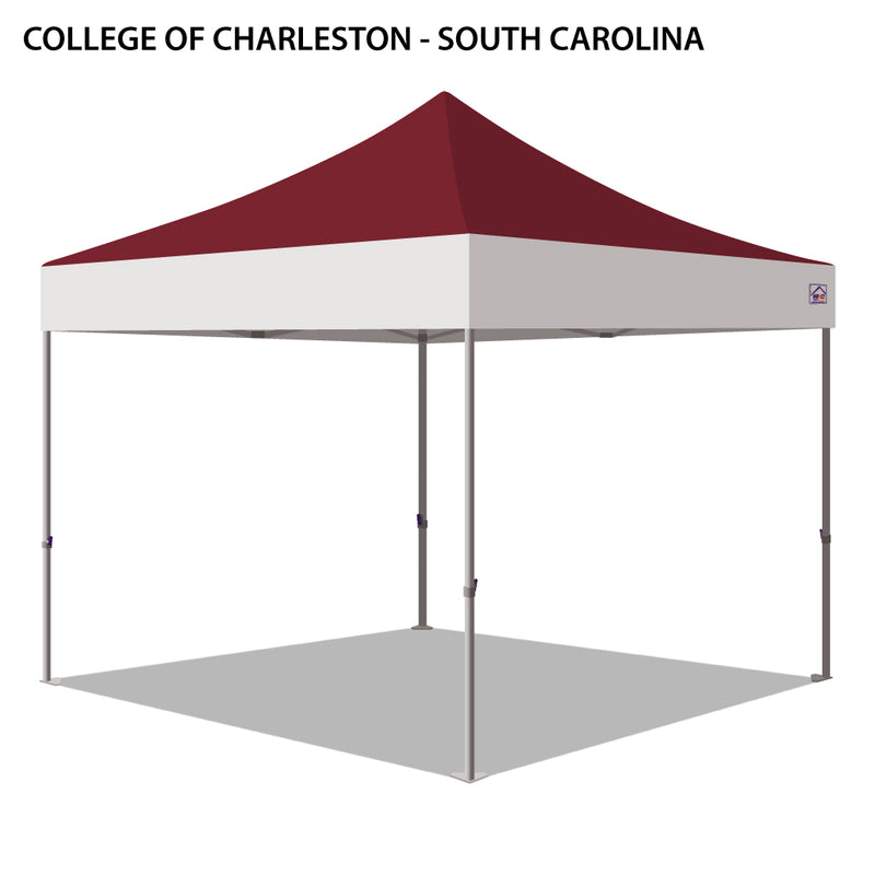 College of Charleston (South Carolina) Colored 10x10