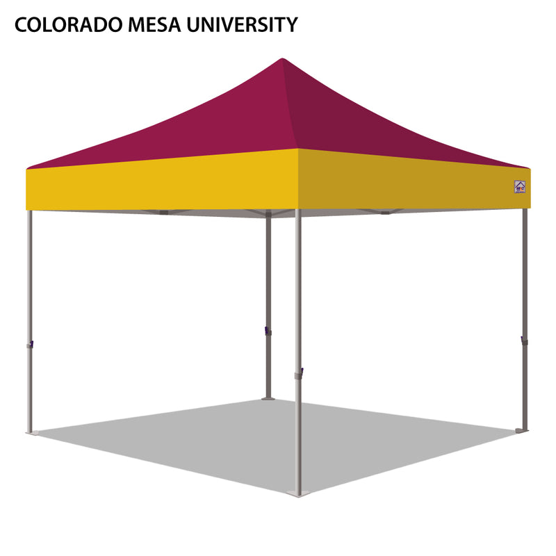 Colorado Mesa University Colored 10x10