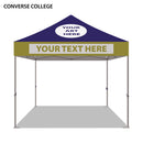 Converse College Colored 10x10