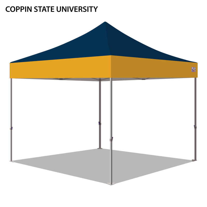 Coppin State University Colored 10x10