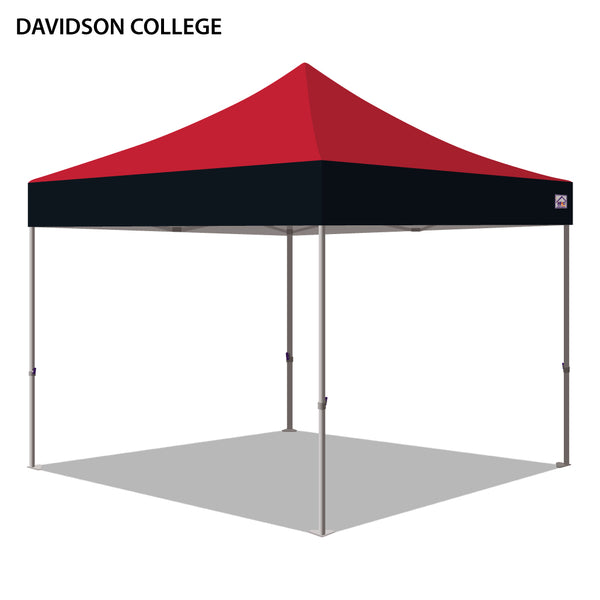 Davidson College Colored 10x10