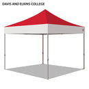 Davis and Elkins College Colored 10x10