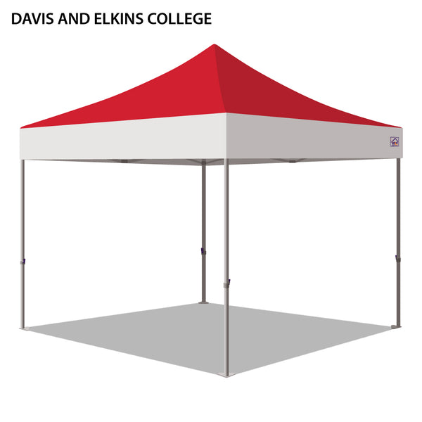 Davis and Elkins College Colored 10x10