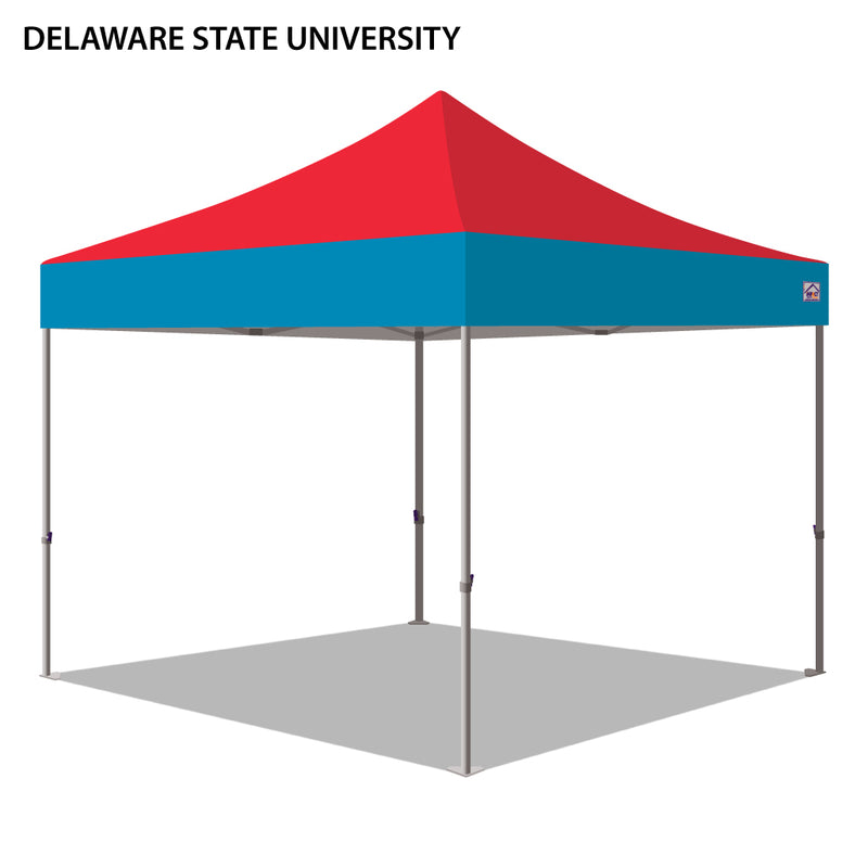 Delaware State University Colored 10x10