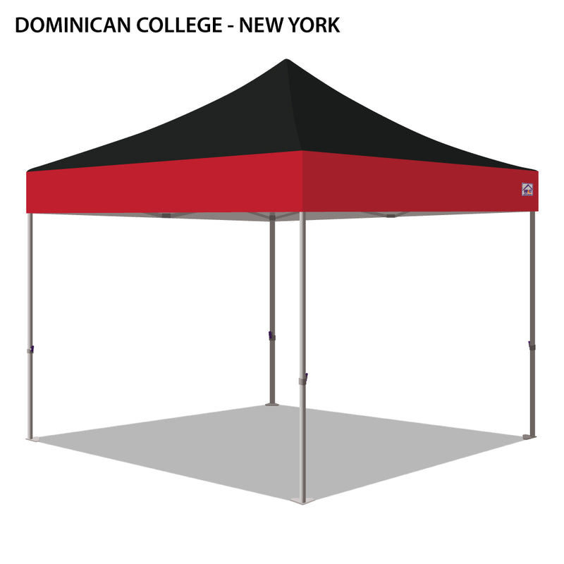 Dominican College (New York) Colored 10x10