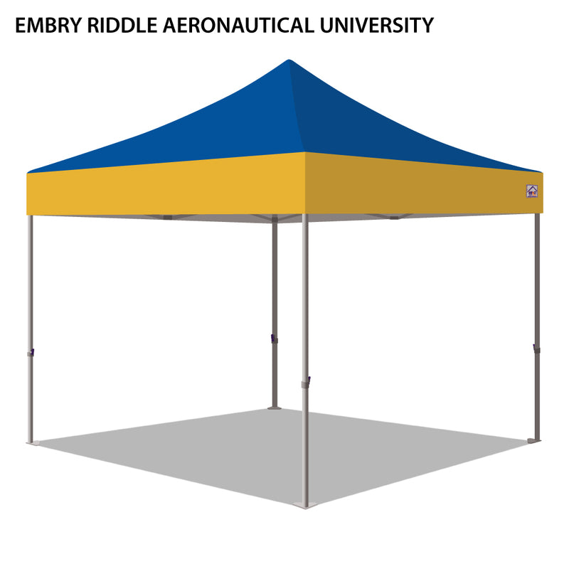 Embry-Riddle Aeronautical University Colored 10x10