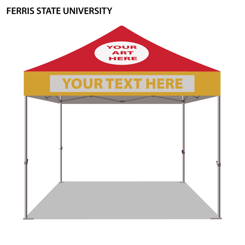 Ferris State University Colored 10x10