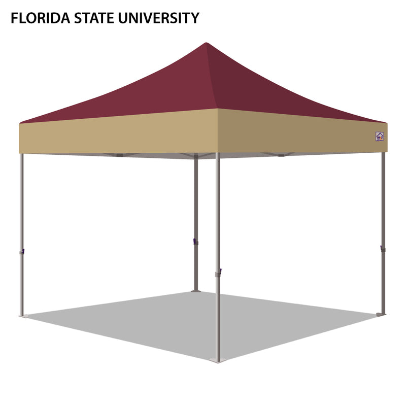 Florida State University Colored 10x10