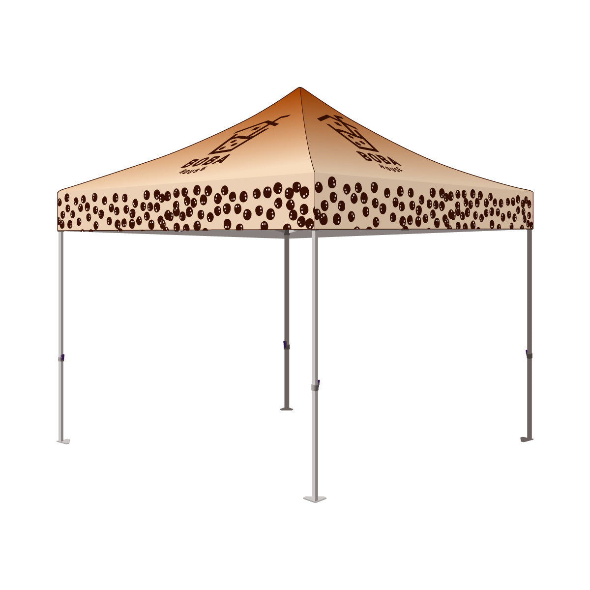 10x10 Pro Custom Branded Canopy Kit