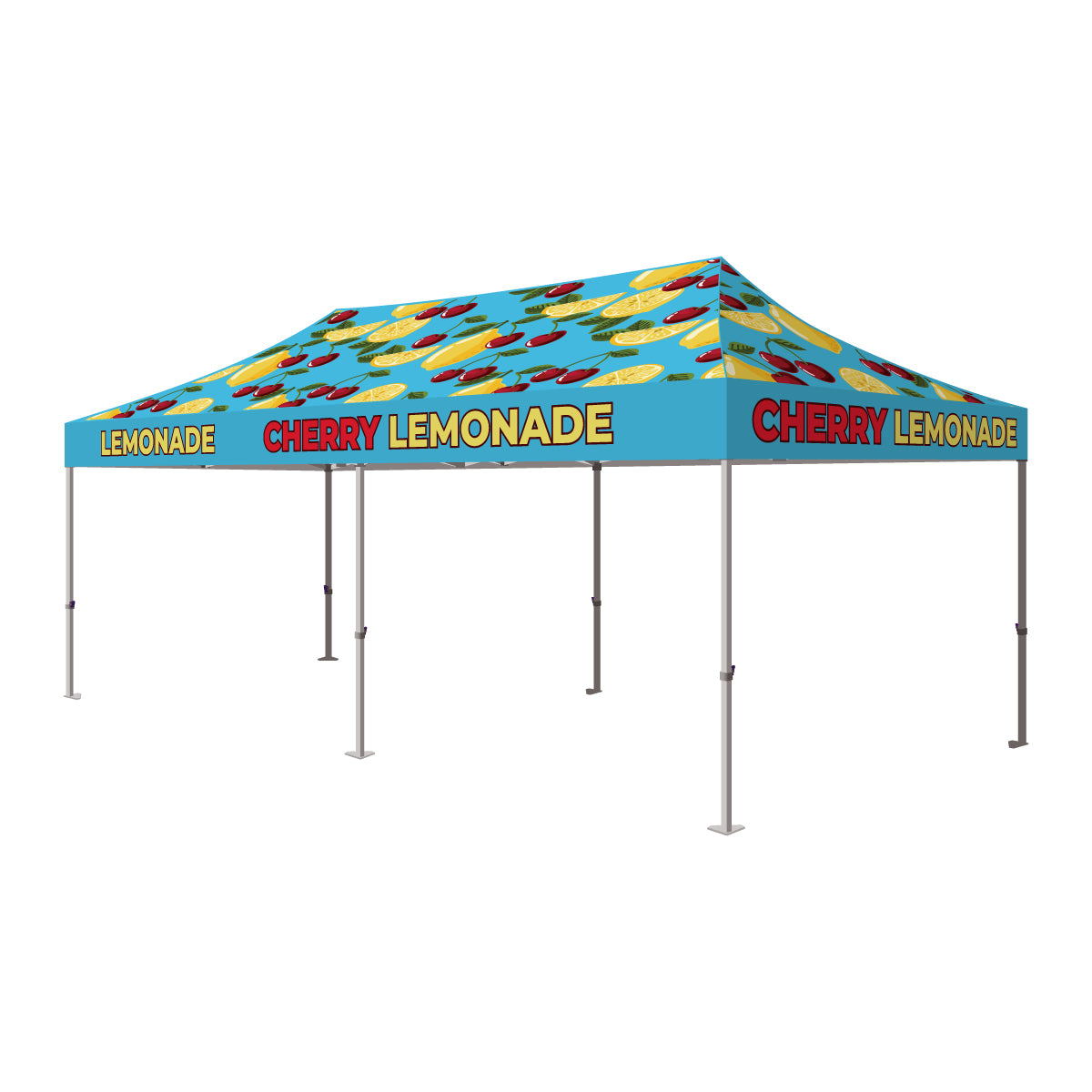 10x20 Pro Custom Branded Canopy Kit