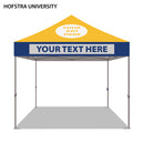 Hofstra University Colored 10x10