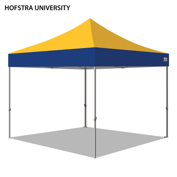 Hofstra University Colored 10x10