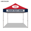 Lane College Colored 10x10