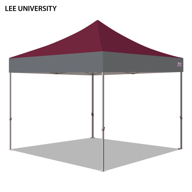 Lee University Colored 10x10