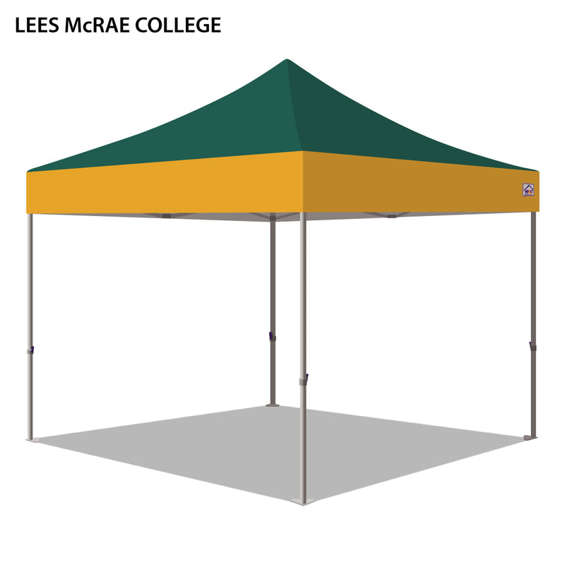 Lees-McRae College Colored 10x10