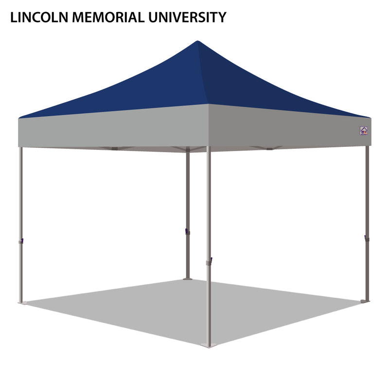 Lincoln Memorial University Colored 10x10