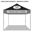 Long Island University-Brooklyn Campus Colored 10x10