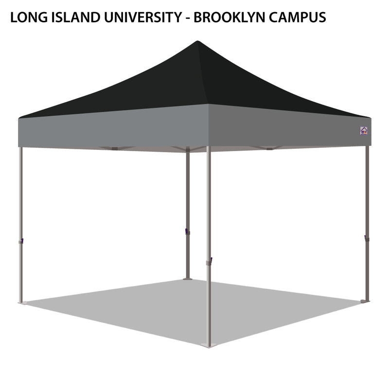Long Island University-Brooklyn Campus Colored 10x10