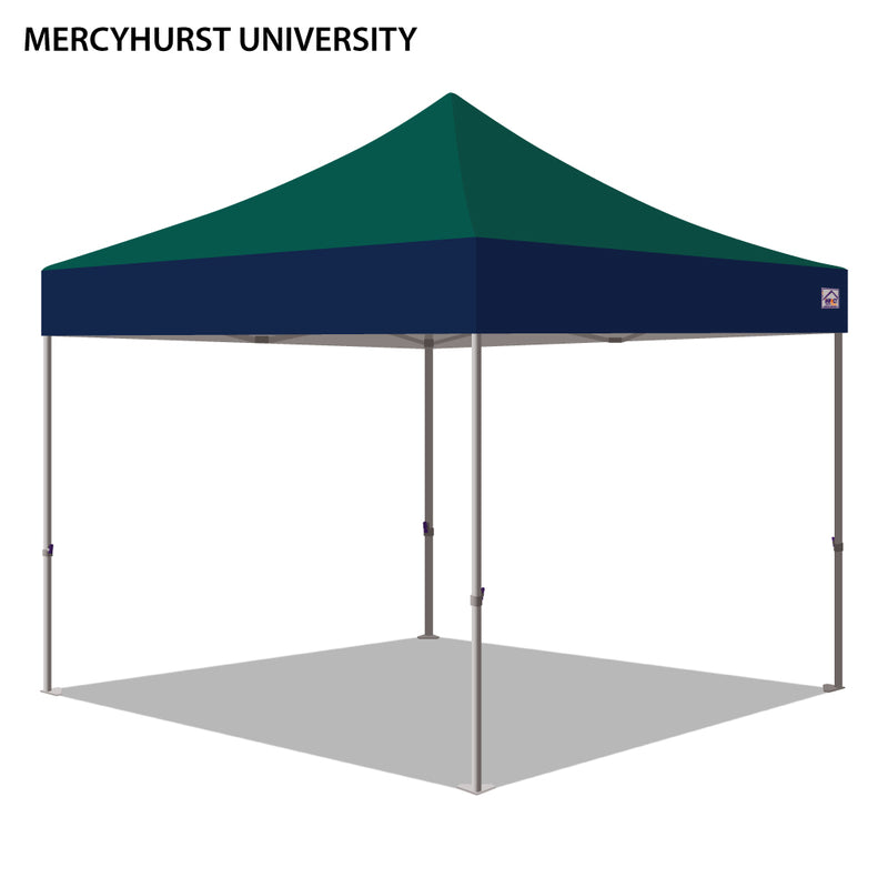 Mercyhurst University Colored 10x10