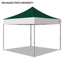 Michigan State University Colored 10x10