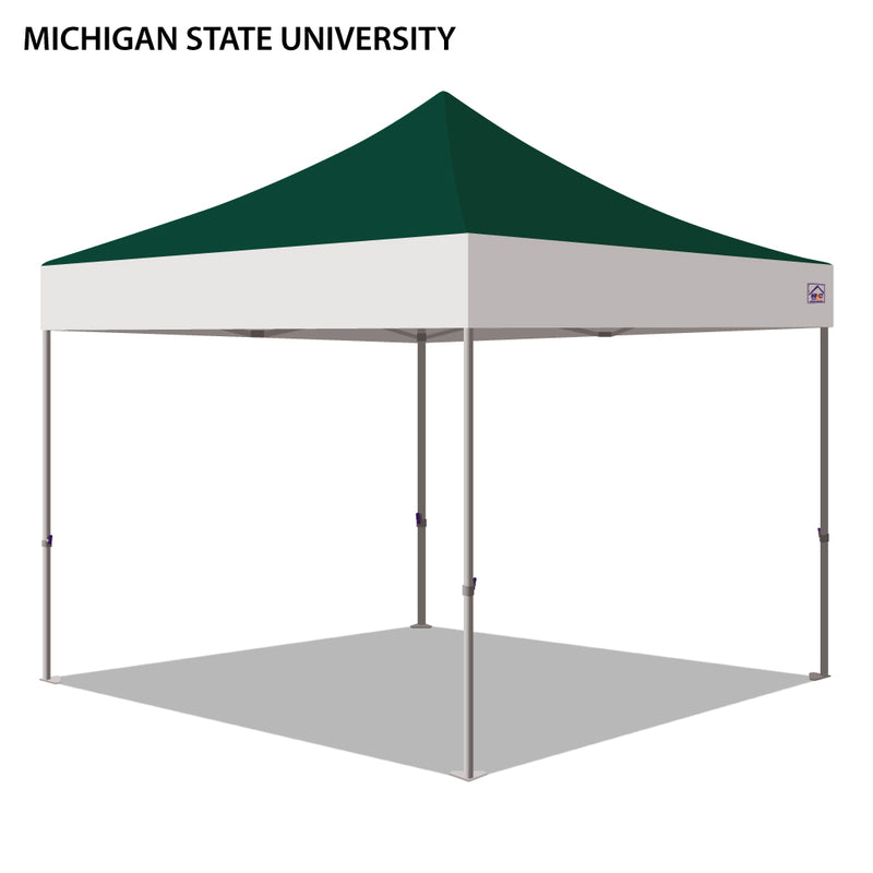 Michigan State University Colored 10x10
