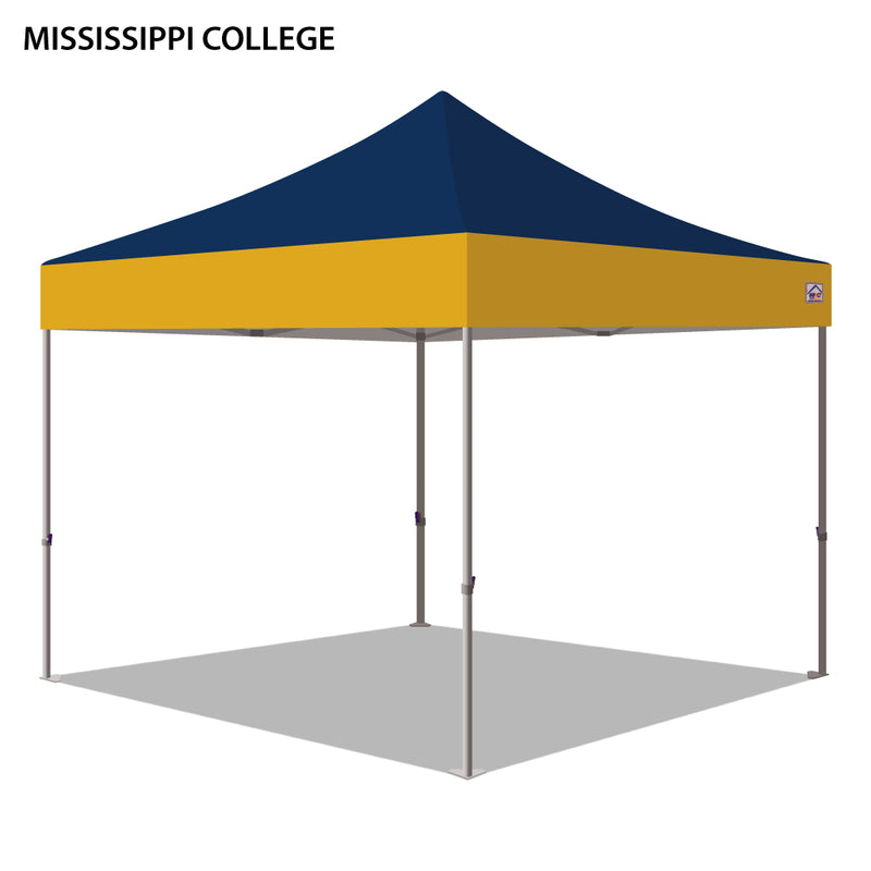 Mississippi College Colored 10x10