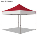 Molloy College Colored 10x10