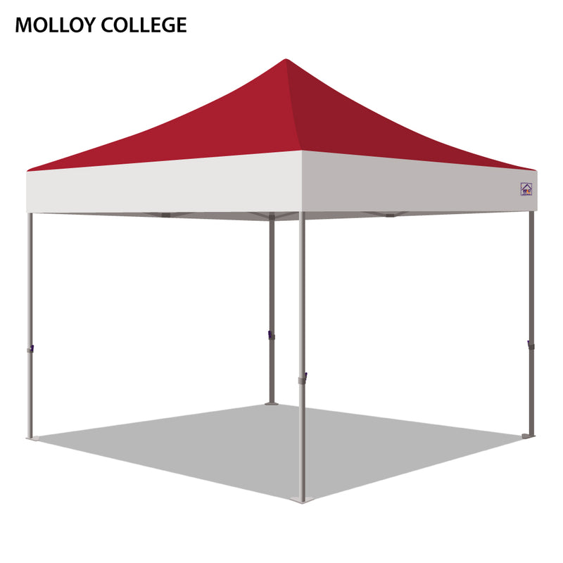 Molloy College Colored 10x10