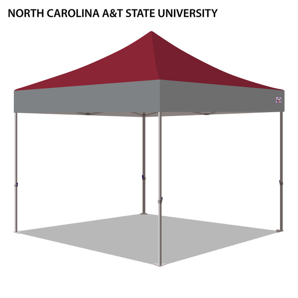 North Carolina A&T State University Colored 10x10