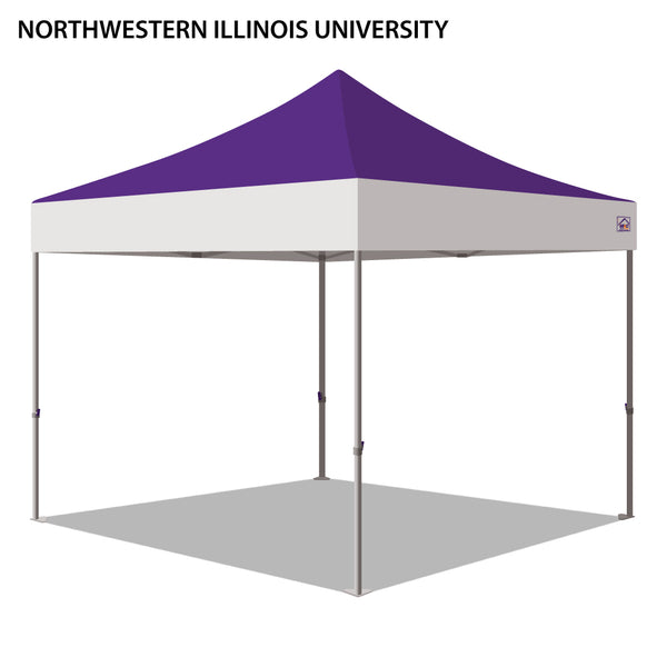 Northwestern University Colored 10x10