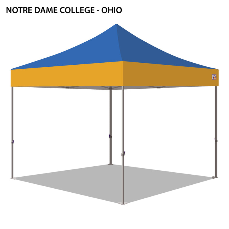Notre Dame College (Ohio) Colored 10x10