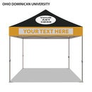 Ohio Dominican University Colored 10x10