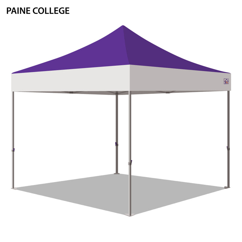 Paine College Colored 10x10