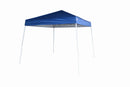 Custom Branded  10x10 Slant Leg Canopy
