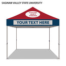 Saginaw Valley State University Colored 10x10