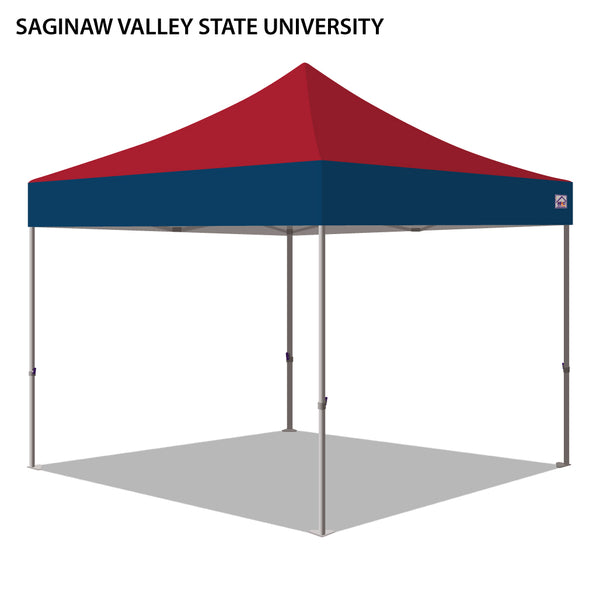 Saginaw Valley State University Colored 10x10