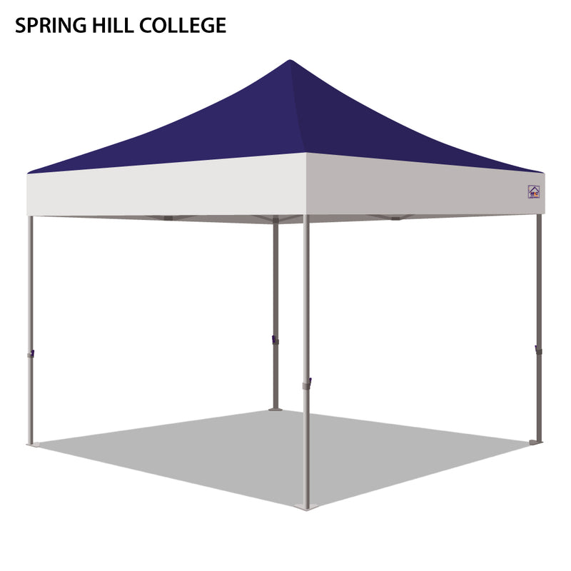 Spring Hill College Colored 10x10