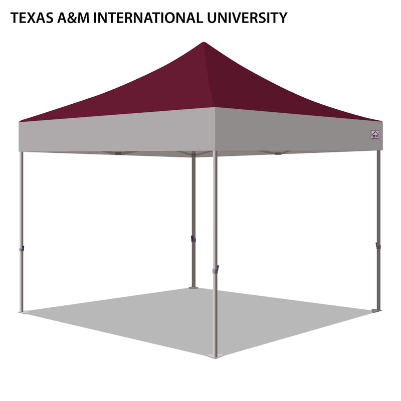 Texas A&M International University Colored 10x10