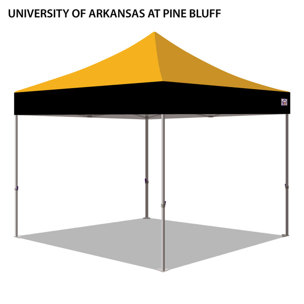 University of Arkansas at Pine Bluff Colored 10x10